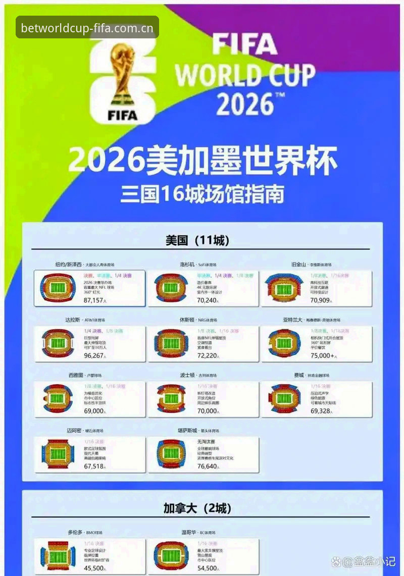 2026世界杯观赛受阻？签证危机下球迷必备的赛事追踪实用指南